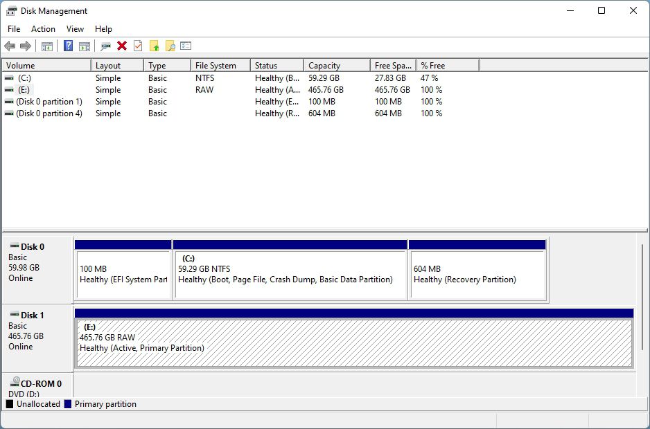 RAW Disk In Disk Management
