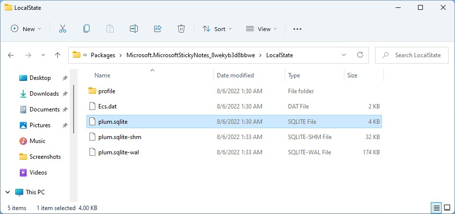 Windows Explorer Sticky Notes Plum SQLite File