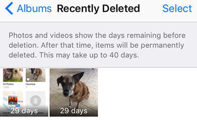 how to retrieve deleted photos on iphone